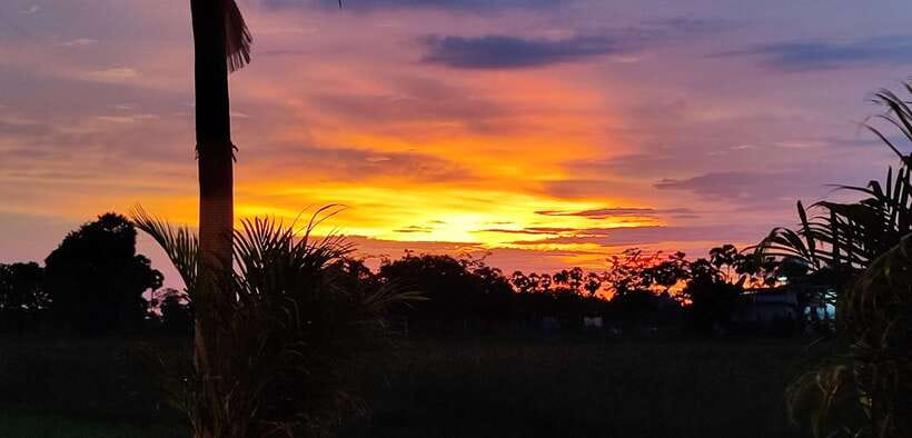 Small Group Countryside Sunset Bike Tours - Food stops that feel like part of the day, not a vending-machine schedule