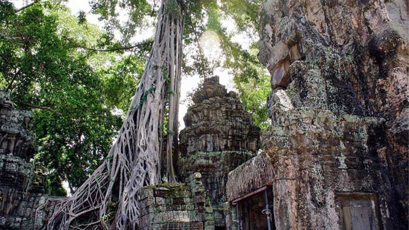 Small-Group Explore Angkor Wat Sunrise Tour with Guide - Should you book this Angkor Wat sunrise tour?