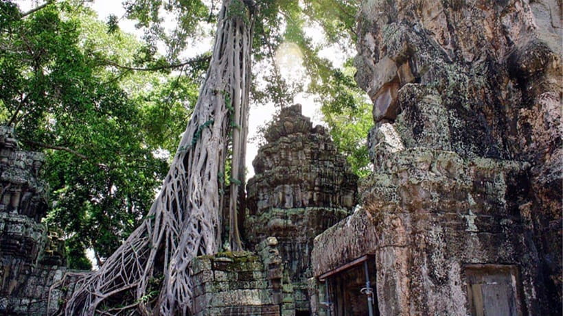 Small-Group Explore Angkor Wat Sunrise Tour with Guide - Sunrise at Angkor Wat, the 4:20 am start that pays off