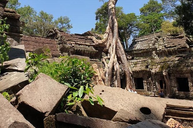 Special Three Days Angkor Tour - Why a licensed English-speaking guide matters here