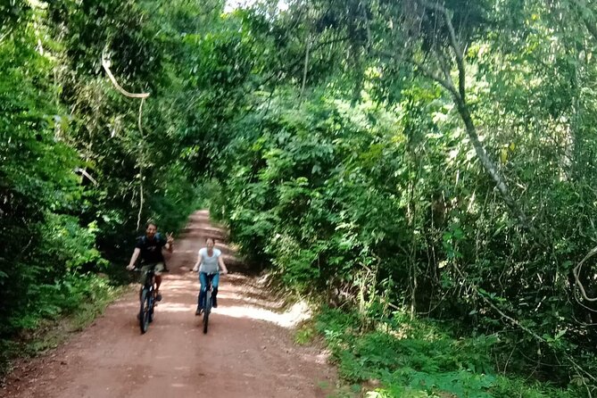 Sunset or sunrise bicycle tour around Angkor Wat and nearby temples - Hotel transfers, meeting point, and how the day actually runs