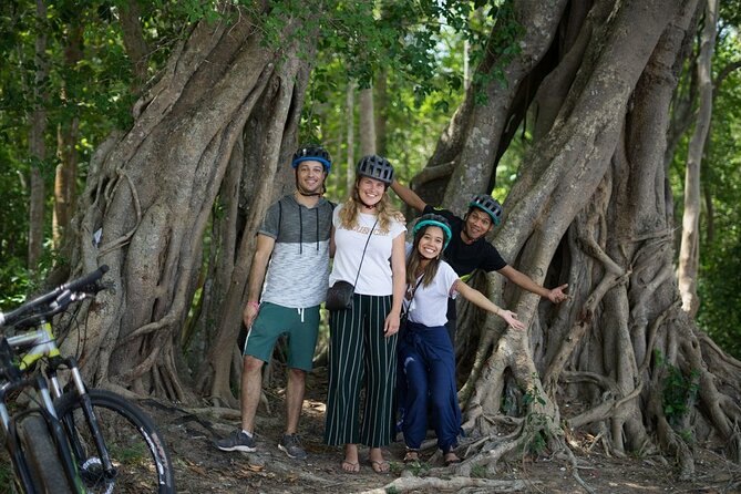 Sunset or sunrise bicycle tour around Angkor Wat and nearby temples - Stop 3: Ta Prohm, where trees take the lead