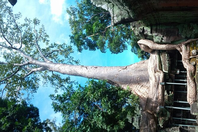 The Magnificent Angkor Wat - Private Vehicle Comfort, Cold Water, and Temple-Energy Realism