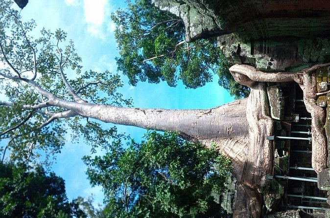 The Magnificent Angkor Wat - Price and Value: What You Pay for the Tour vs the Ticket