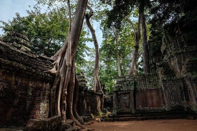 The Ultimate Angkor Wat Temple Private Day Trip - Who This Trip Suits Best (and Who Might Want Something Else)