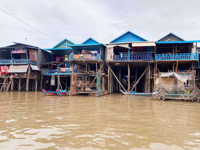 Tonle sap, Kompong Phluk (Floating village) Private Tour - Floating forest and mangroves: the payoff, plus the boat reality