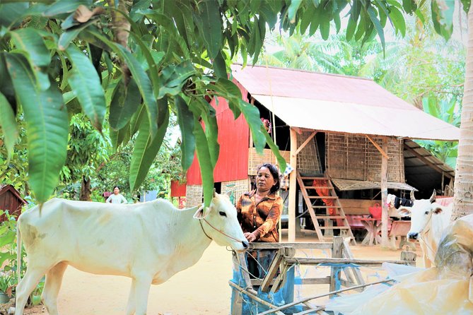 Tonle Sap Lake - Fishing Village & Flooded Forest - Who this Tonle Sap tour suits best