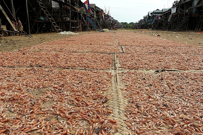 Tonle Sap Lake & Kampong Phluk Village Half-Day Tour - Choosing morning or afternoon: how to match your mood