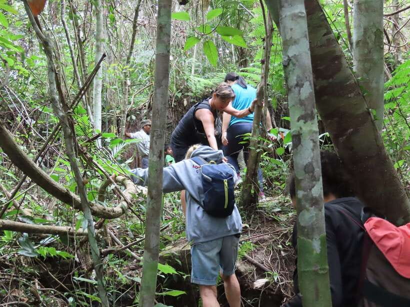 Trekking Tour at Phnom Kulen National Park from Siem Reap - More temples on Kulen, with steady guided pacing