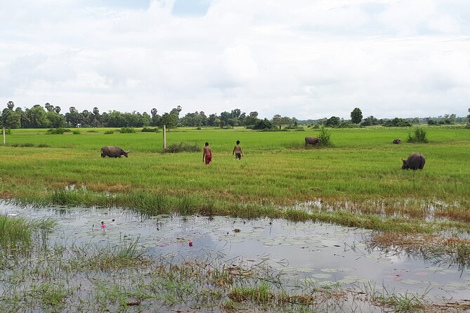 Tuk Tuk Journey: Exploring Rural Life and Silk Farm Craftsmanship - Angkor Silk Farm: From Silk Worms to Weaving Garments