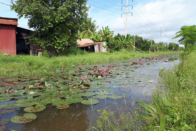 Tuk Tuk Journey: Exploring Rural Life and Silk Farm Craftsmanship - Tuk Tuk Journey Logistics: Price, Duration, and What You Get