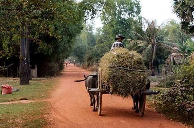 Tuk Tuk Journey: Exploring Rural Life and Silk Farm Craftsmanship - Practical Tips for Your Own Morning Plan