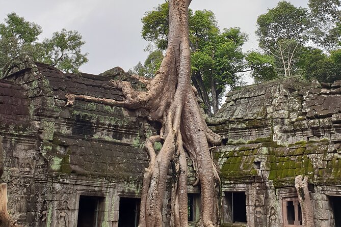 Two Days Angkor Tour - Price and value: $75, what that really covers