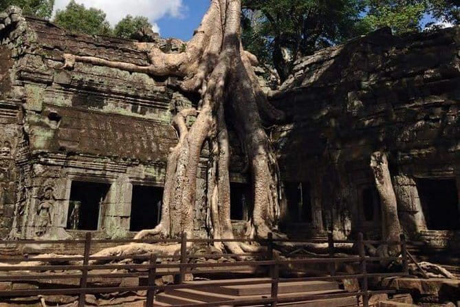 Ultimate Siem Reap Food Tour by Tuk Tuk - 20 Tastings, 8 Stops - Final Stop at Wat Damnak: Cocktail or Mocktail in a Garden Setting