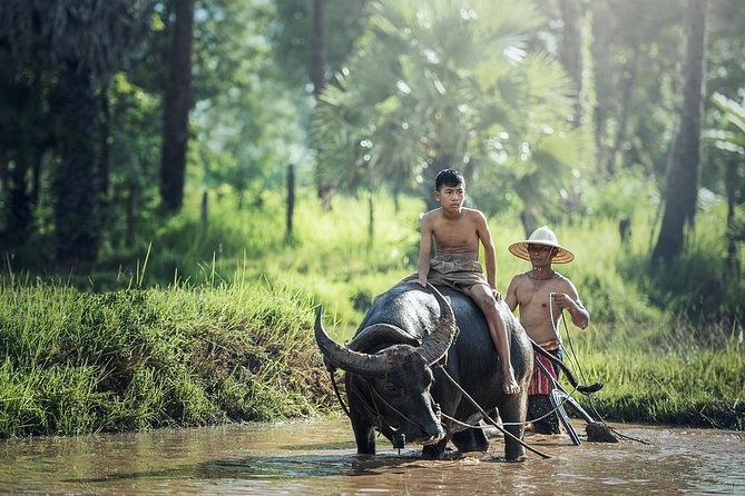 Village Life Tour from Siem Reap - Key things I’d zero in on