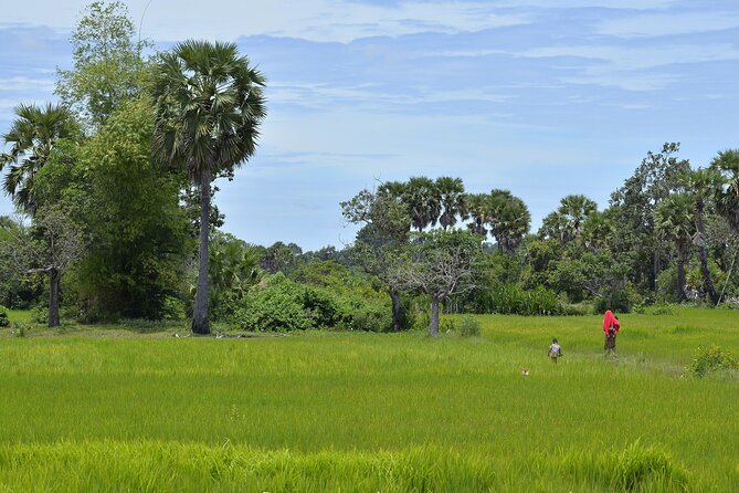 Village Life Tour from Siem Reap - From Siem Reap To Rice Paddies: The Ride That Sets the Mood