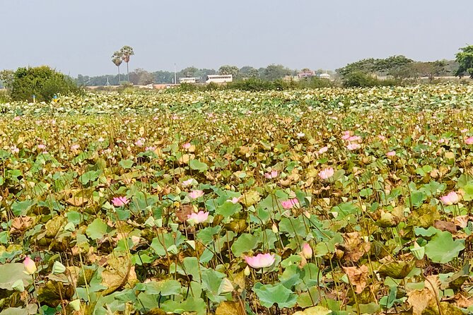 War Museum, Killing Field and Floating village ( Chong Kneas) Tour - How the Guide Makes or Breaks This Kind of Day